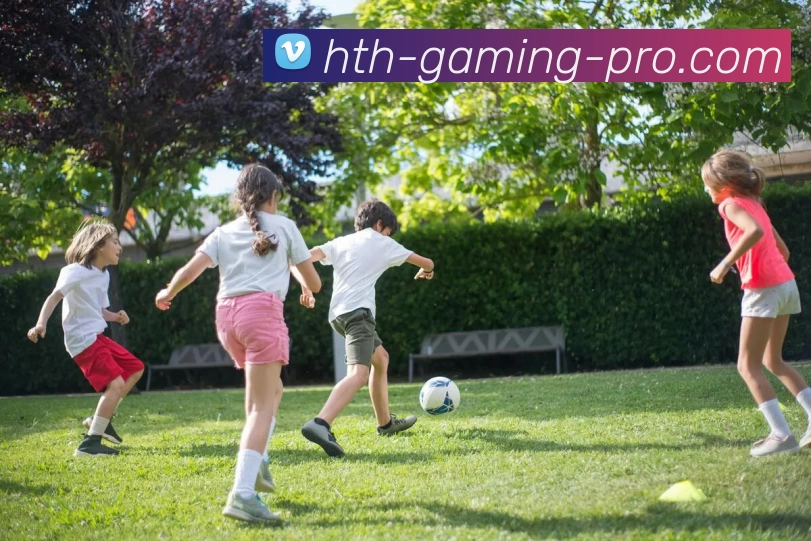 华体会电竞专业版服务体系